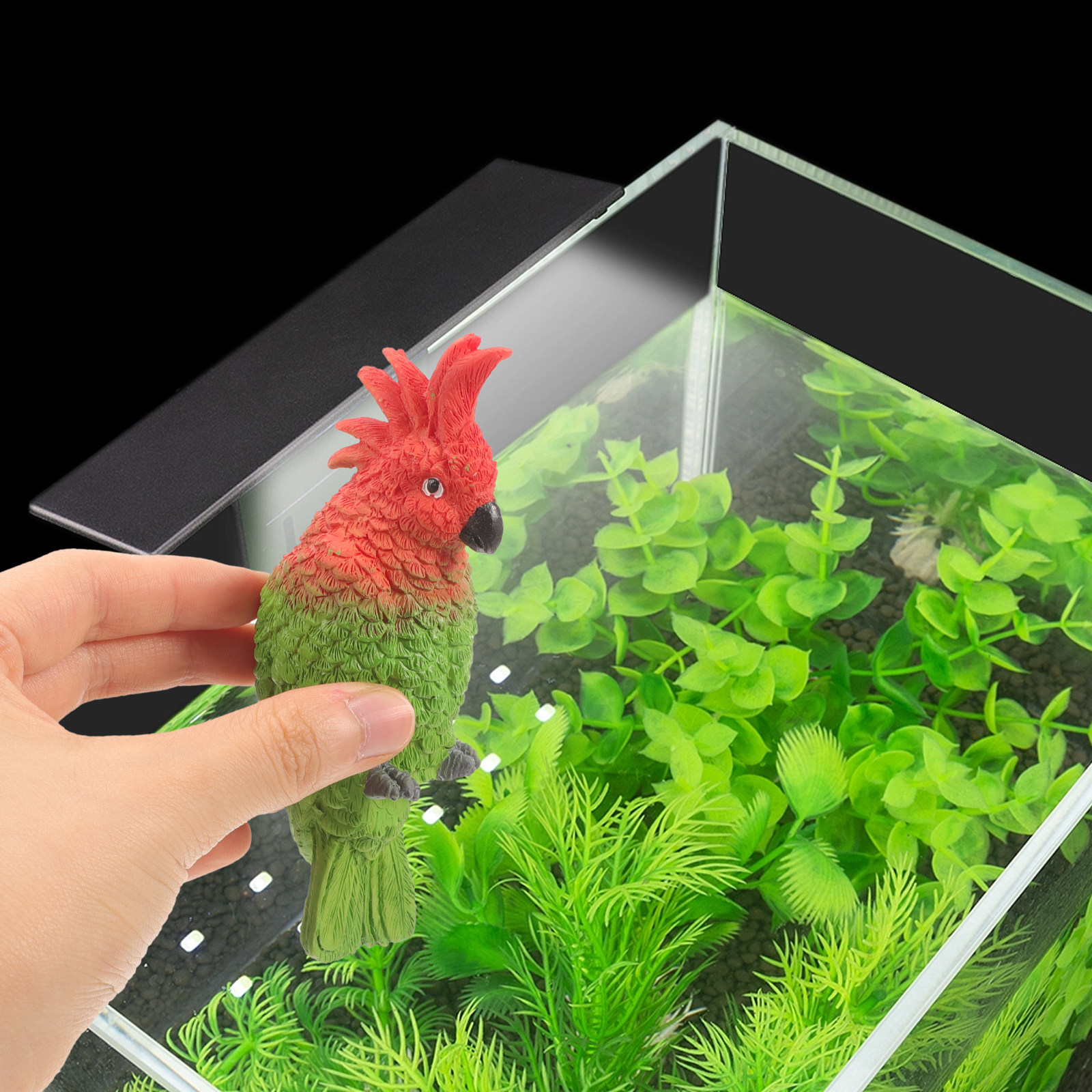 Aquarium Fish Parrot - Mini Parrot Aquarium Wall Hanging Resin