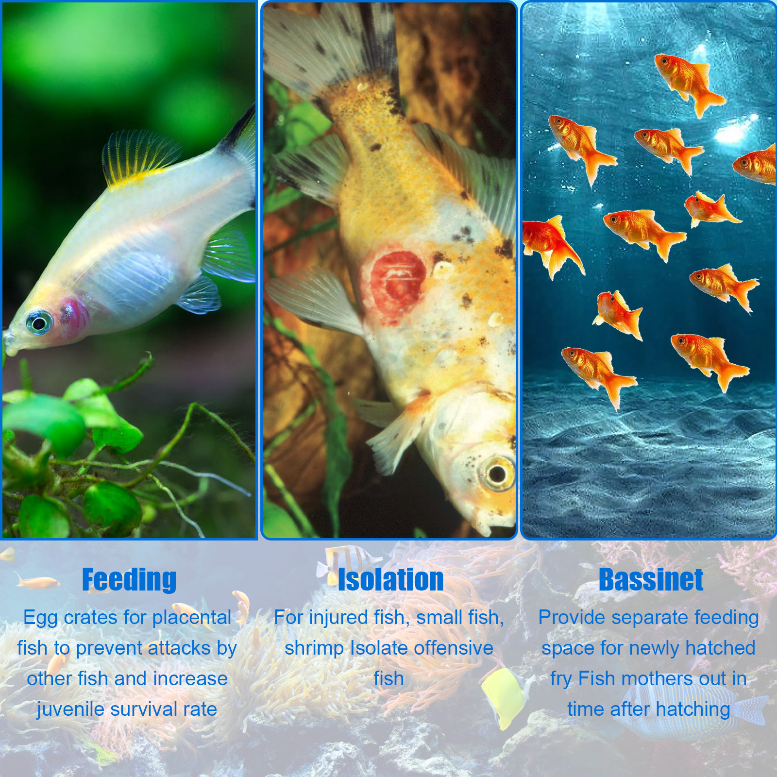 Aquarium Breeder Box Fish Bree - огляд і ціна Aquarium Xl