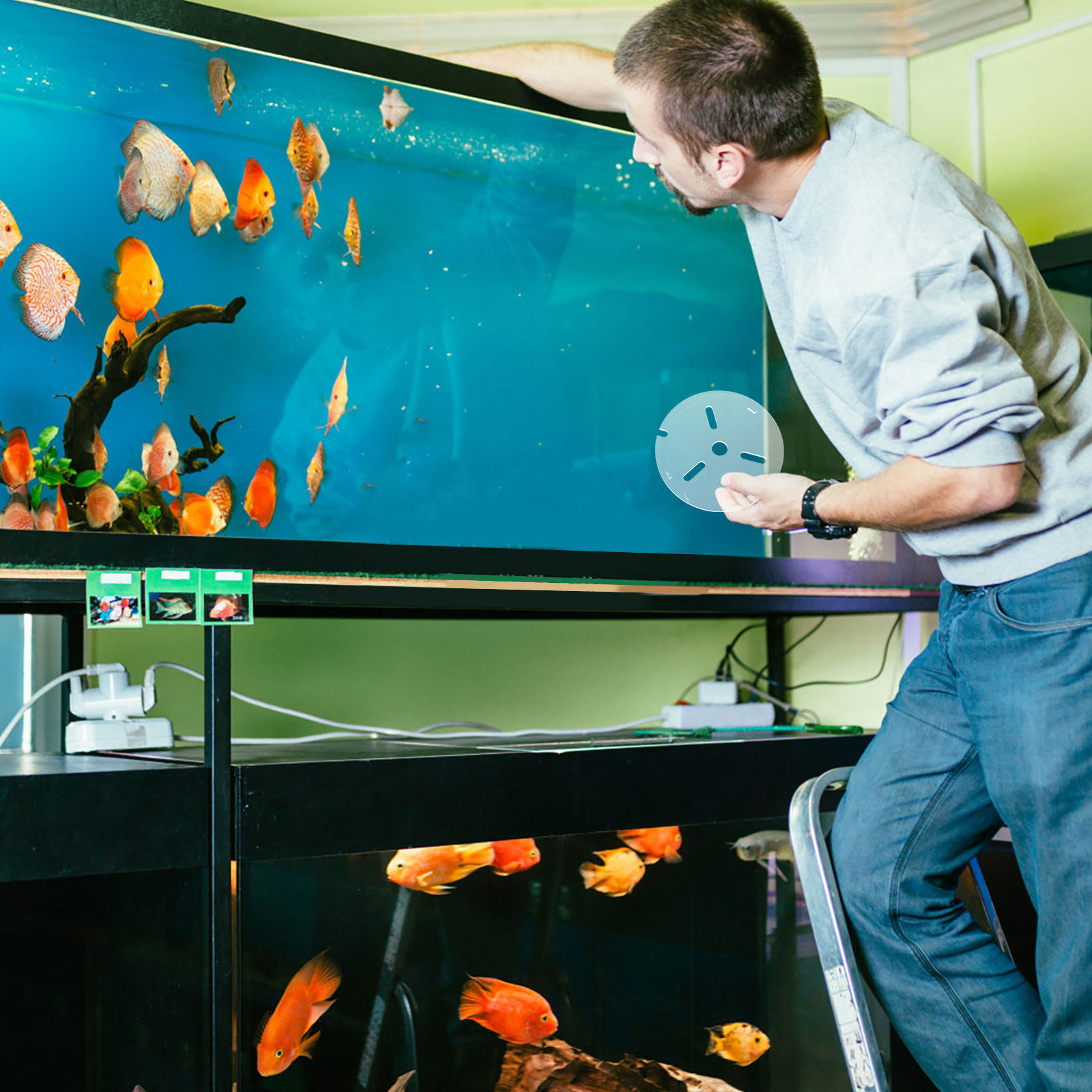 High Clarity Acrylic Fish Tank - огляд і ціна Aquarium Fish Yellow