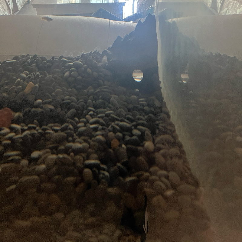 Aquarium Decoration Fish Tank  - огляд і ціна Aquarium Fish Parrot
