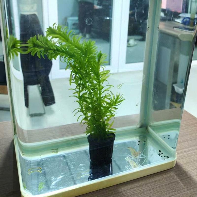 4Pcs Pet Fish Tank Landscaping - огляд і ціна Aquarium Fish In