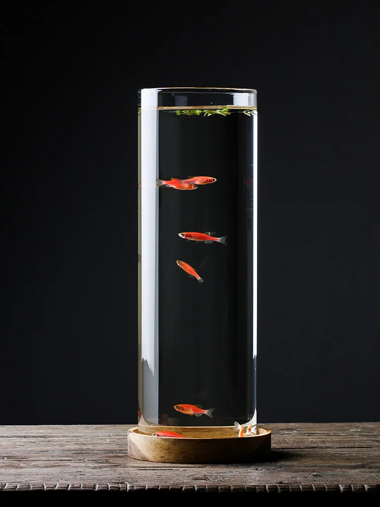 2L Micro Landscape Teahouse Ta - огляд і ціна Aquarium Xl