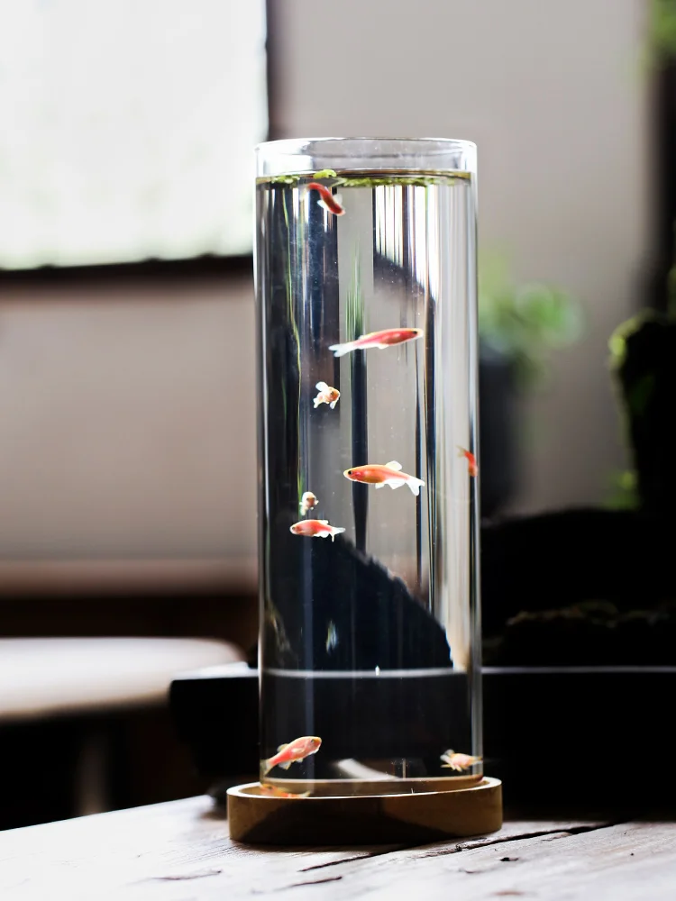 2L Micro Landscape Teahouse Ta - огляд і ціна Aquarium Xl