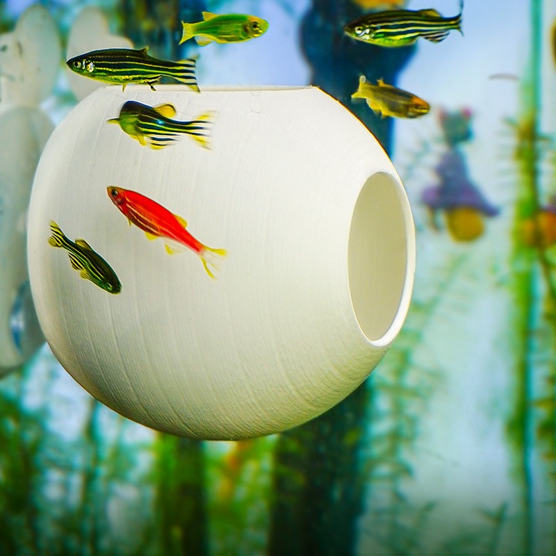 Aquarium Creative Ornament 3D  - огляд і ціна Aquarium Fish Parrot