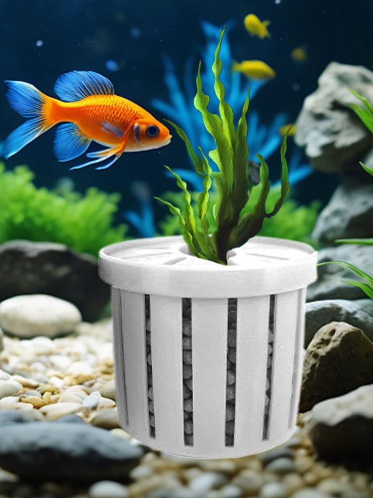 4pcs Aquarium Plant Holder Bas - огляд і ціна Aquarium Fish Restaurant