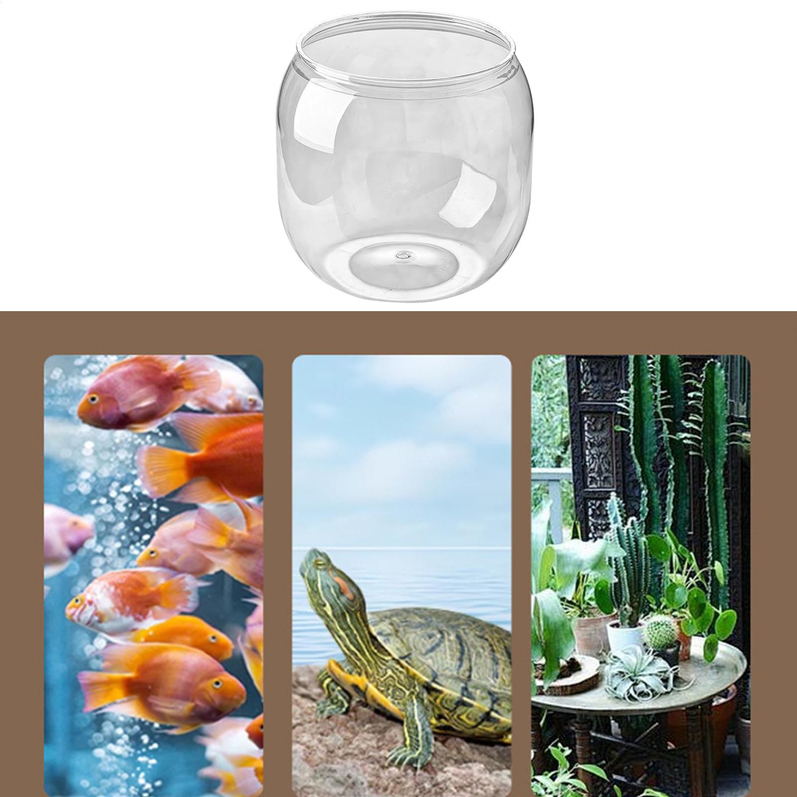 Fish Bowl Decorative Clear Aqu - огляд і ціна Aquarium Fish Restaurant