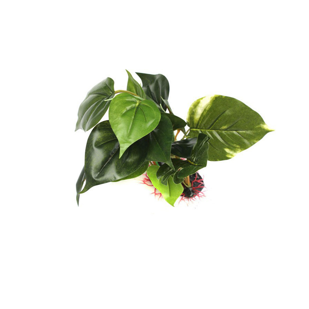 Fish Tank Artificial Plant Pre - огляд і ціна Aquarium Fish Low Maintenance