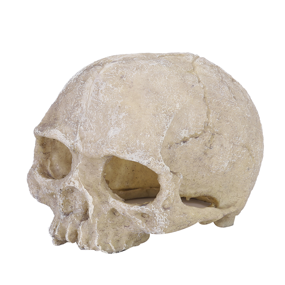 Resin Simulated Head Bone Skul - огляд і ціна Aquarium Fish Hideout