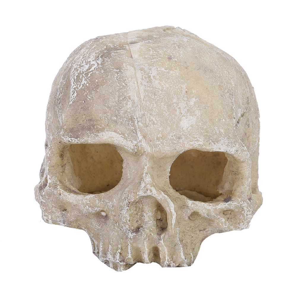 Resin Simulated Head Bone Skul - огляд і ціна Aquarium Fish Hideout