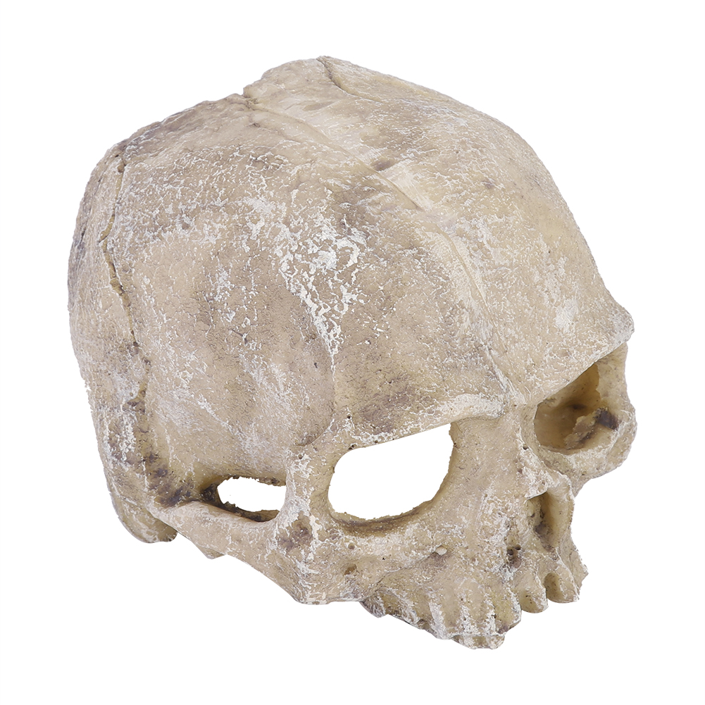 Resin Simulated Head Bone Skul - огляд і ціна Aquarium Fish Hideout