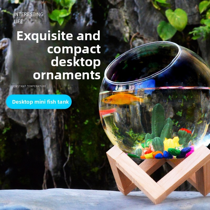 Mini Desktop Aquarium for Bett - огляд і ціна Aquarium Fish Low Maintenance