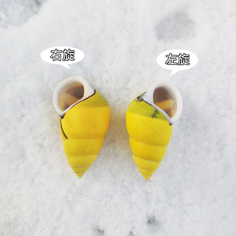Rare Trochus Shell Aquarium Or - огляд і ціна Aquarium Fish Yellow