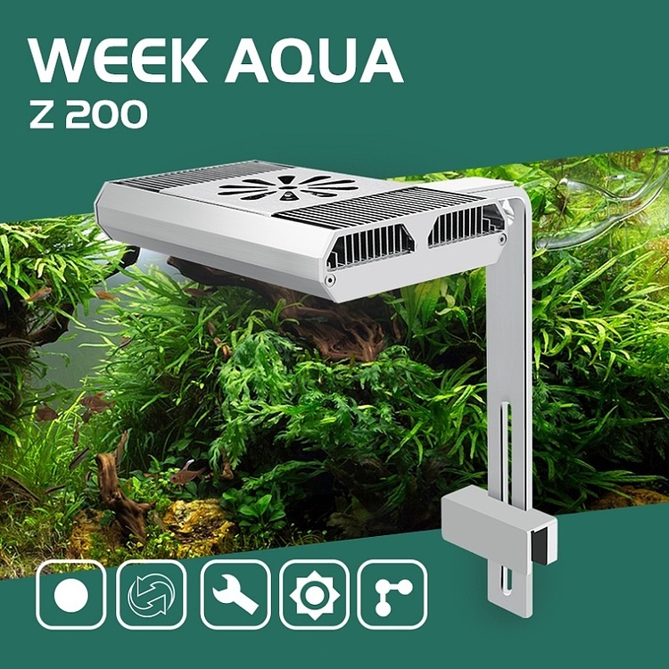 Full Spectrum Fish Tank Light  - огляд і ціна Aquarium Fish In