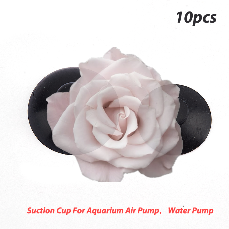 Popular 10Pcs Aquarium Fish Ta - огляд і ціна Aquarium Fish Popular