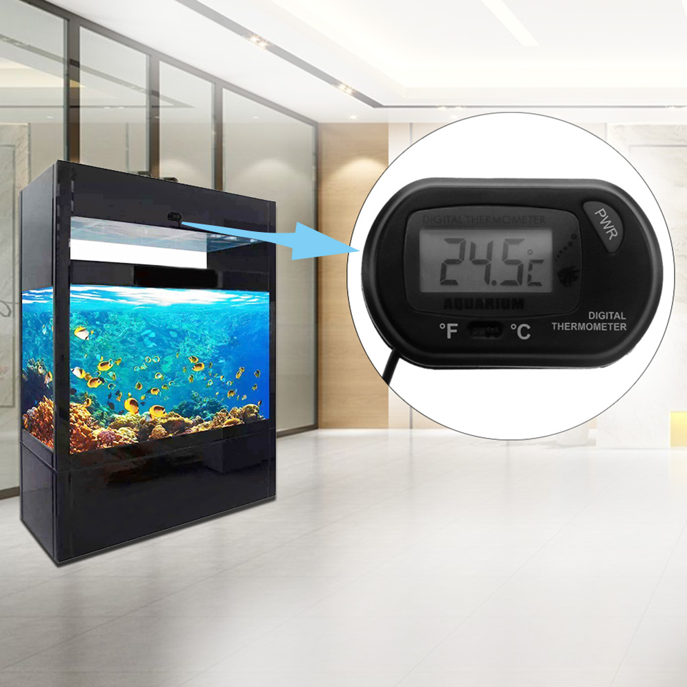 Aquarium Thermometer Suction C - огляд і ціна Aquarium Thermometer