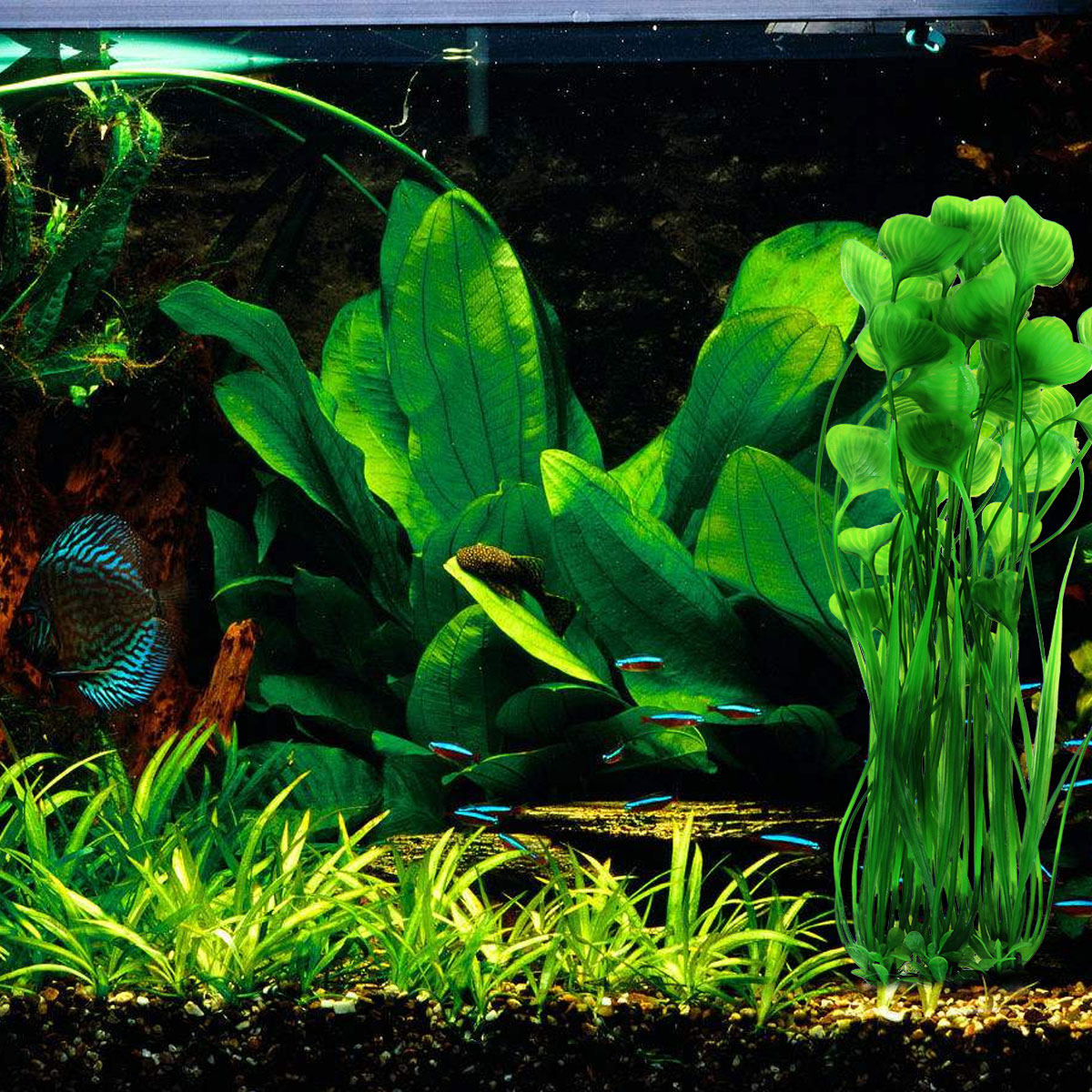 Artificial Aquarium Plants Gre - огляд і ціна Aquarium Fish Low Maintenance