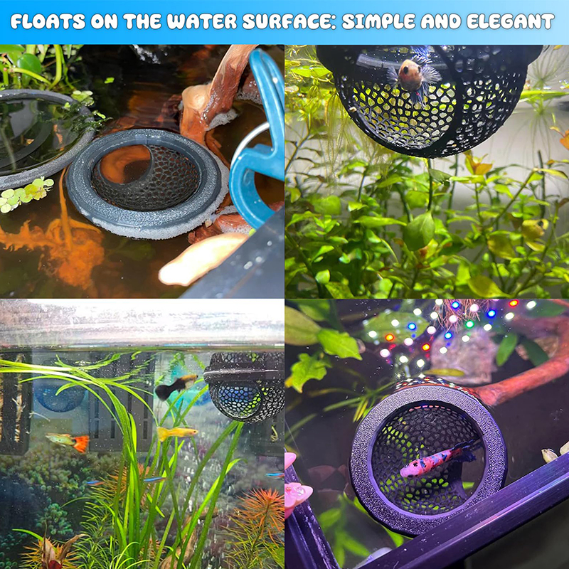 Ring FLoatinG Betta Hide Shrim - огляд і ціна Aquarium Fish Hideout