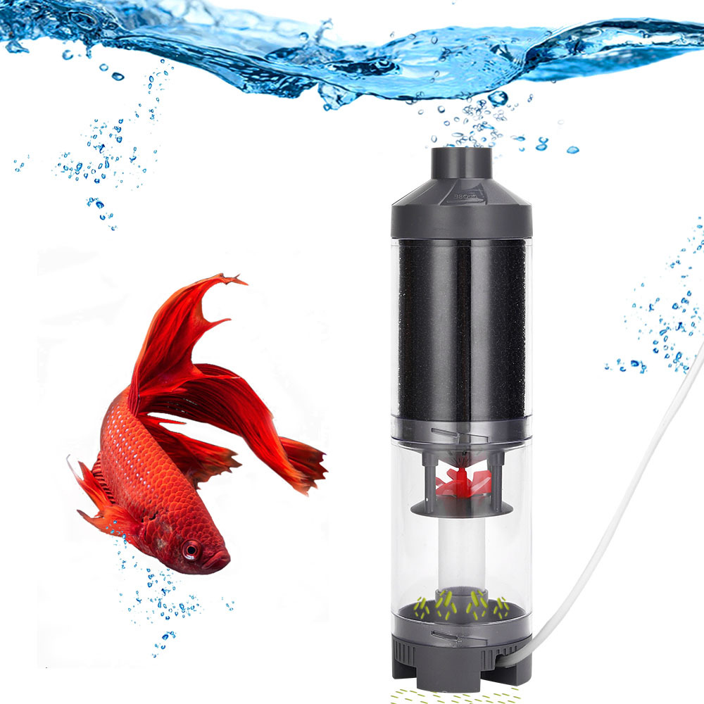 Popular Hot sell Aquarium Fish - огляд і ціна Aquarium Fish Popular