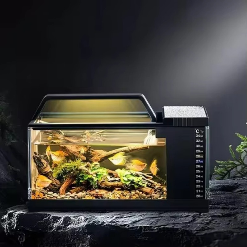 South American Style Aquarium  - огляд і ціна Aquarium Fish Low Maintenance