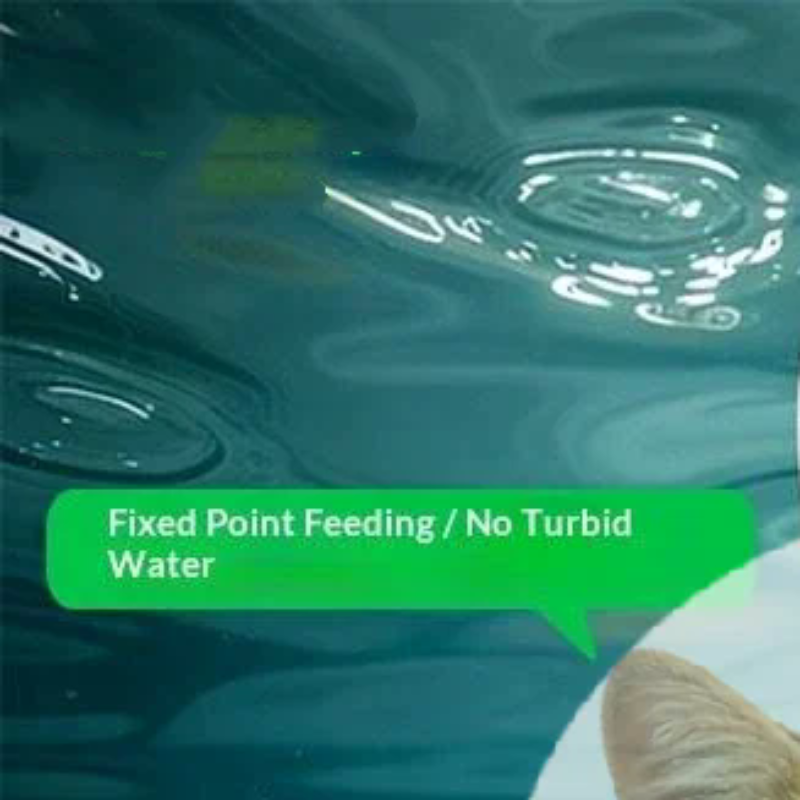 Popular Precise Fish Pacifier  - огляд і ціна Aquarium Fish Popular